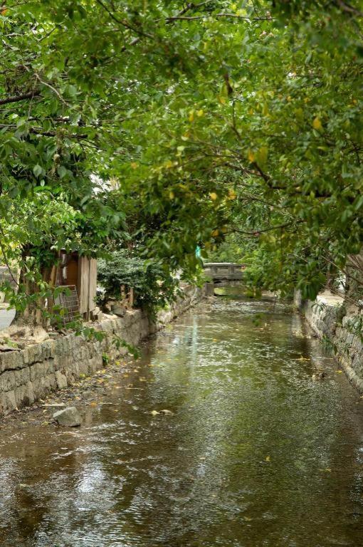 Kyoto Hatsune Hotel Екстериор снимка